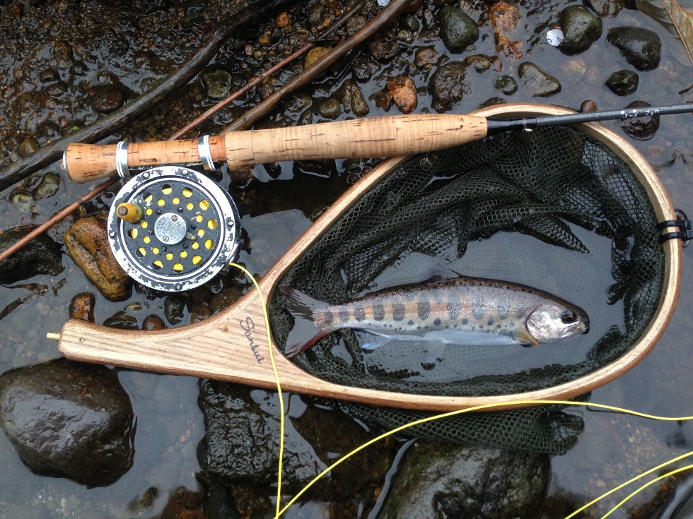 The Rain and the Amago Trout for Fly Fishermen in Japan